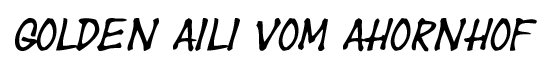 Aili berschrift Kopie