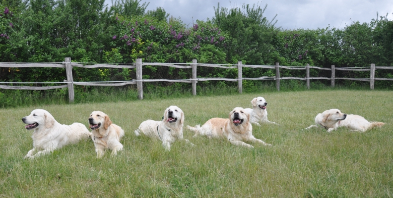 Gruppenfoto
