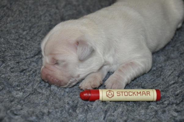 Rot am 27_05_12